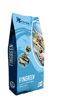 Fingreen