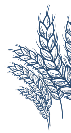 Rice Tree