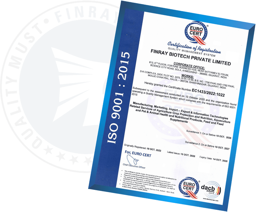 ISO Certificate