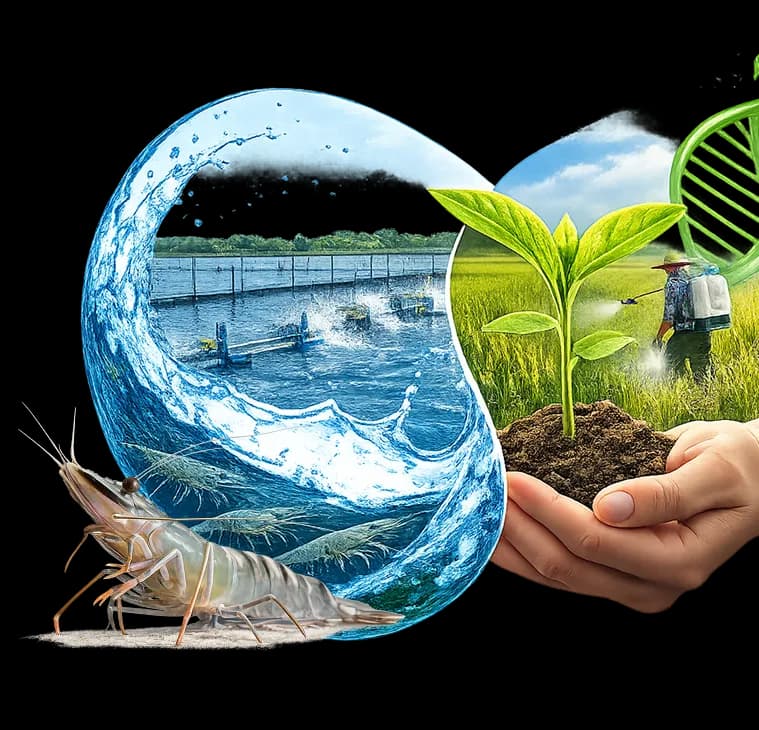 Environmental Protection